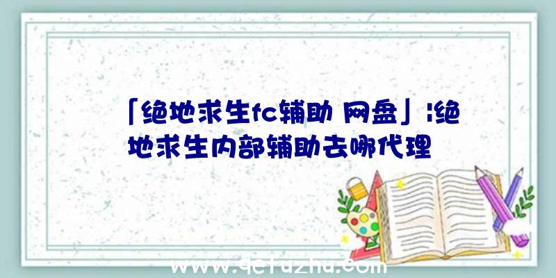 「绝地求生fc辅助